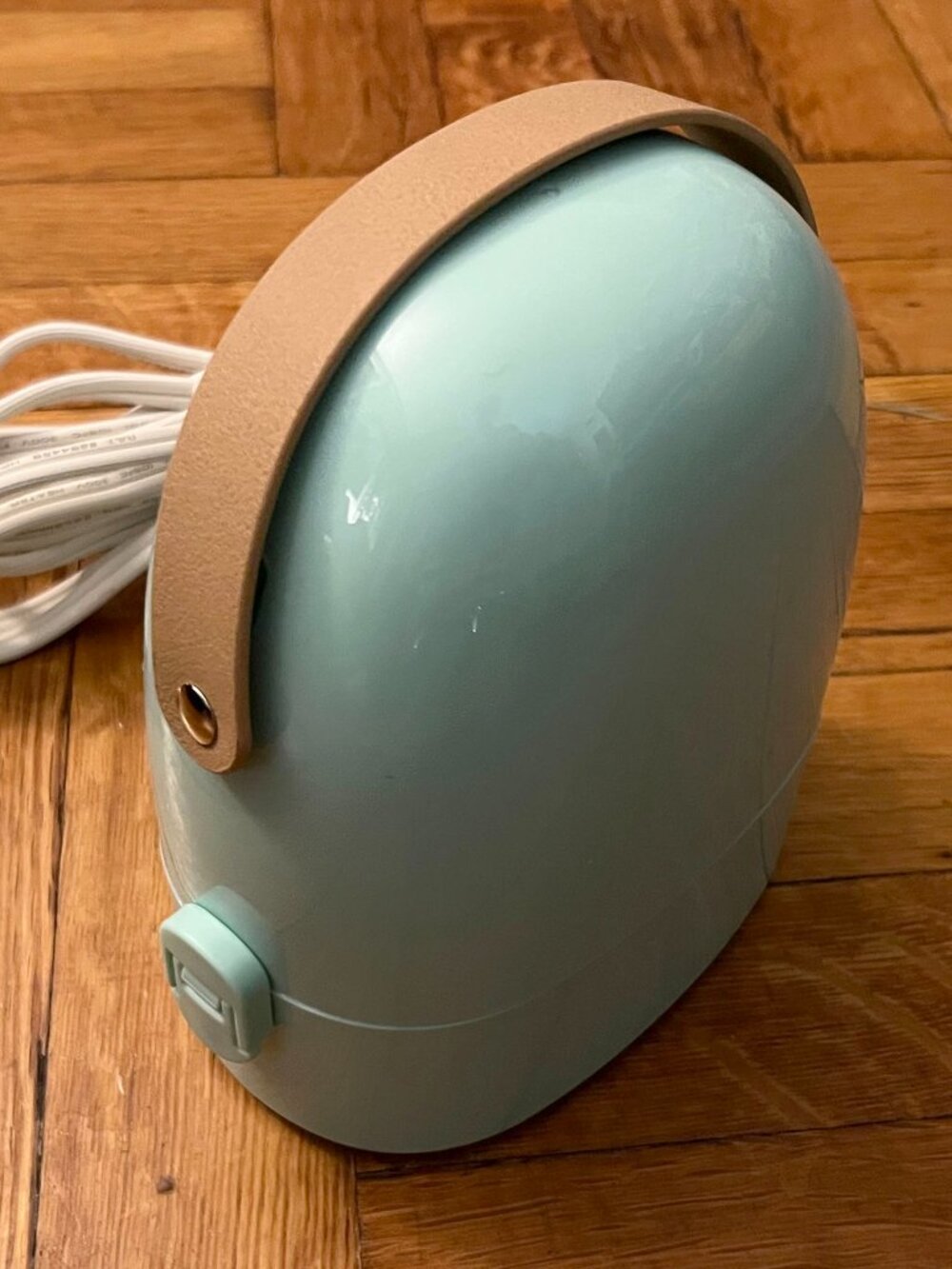 Homedics Mini Steam Travel Iron